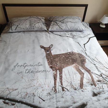 בלאגובגראד Cosy Apartment - City Centre מראה חיצוני תמונה