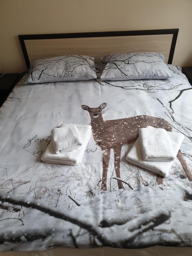 בלאגובגראד Cosy Apartment - City Centre מראה חיצוני תמונה